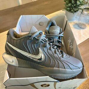 Mens Nike Lebron XXI basketball shoes Grey (Brand New)